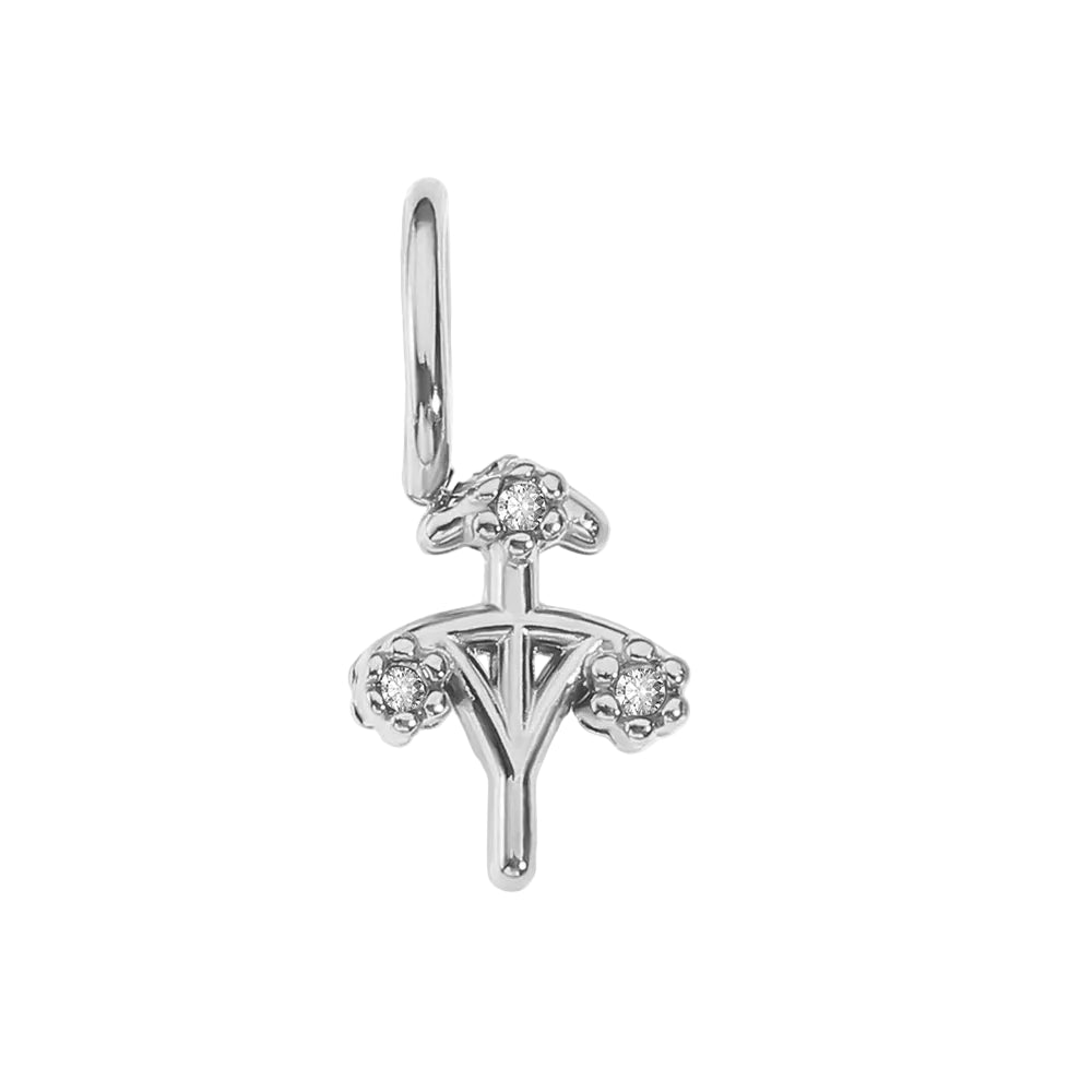 Zodiac Sparkle Charm