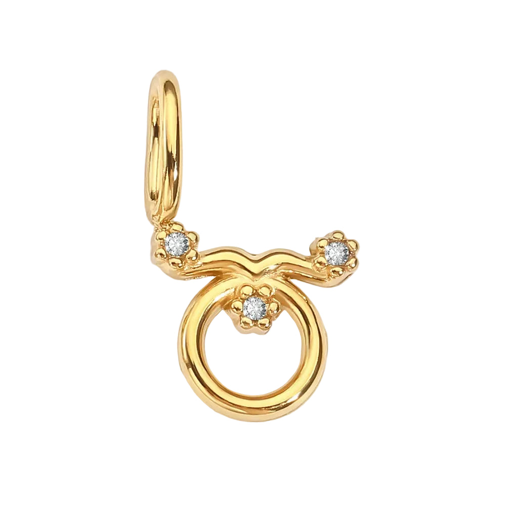 Zodiac Sparkle Charm