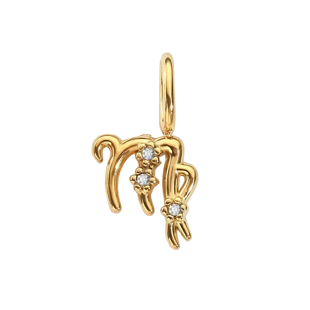 Zodiac Sparkle Charm