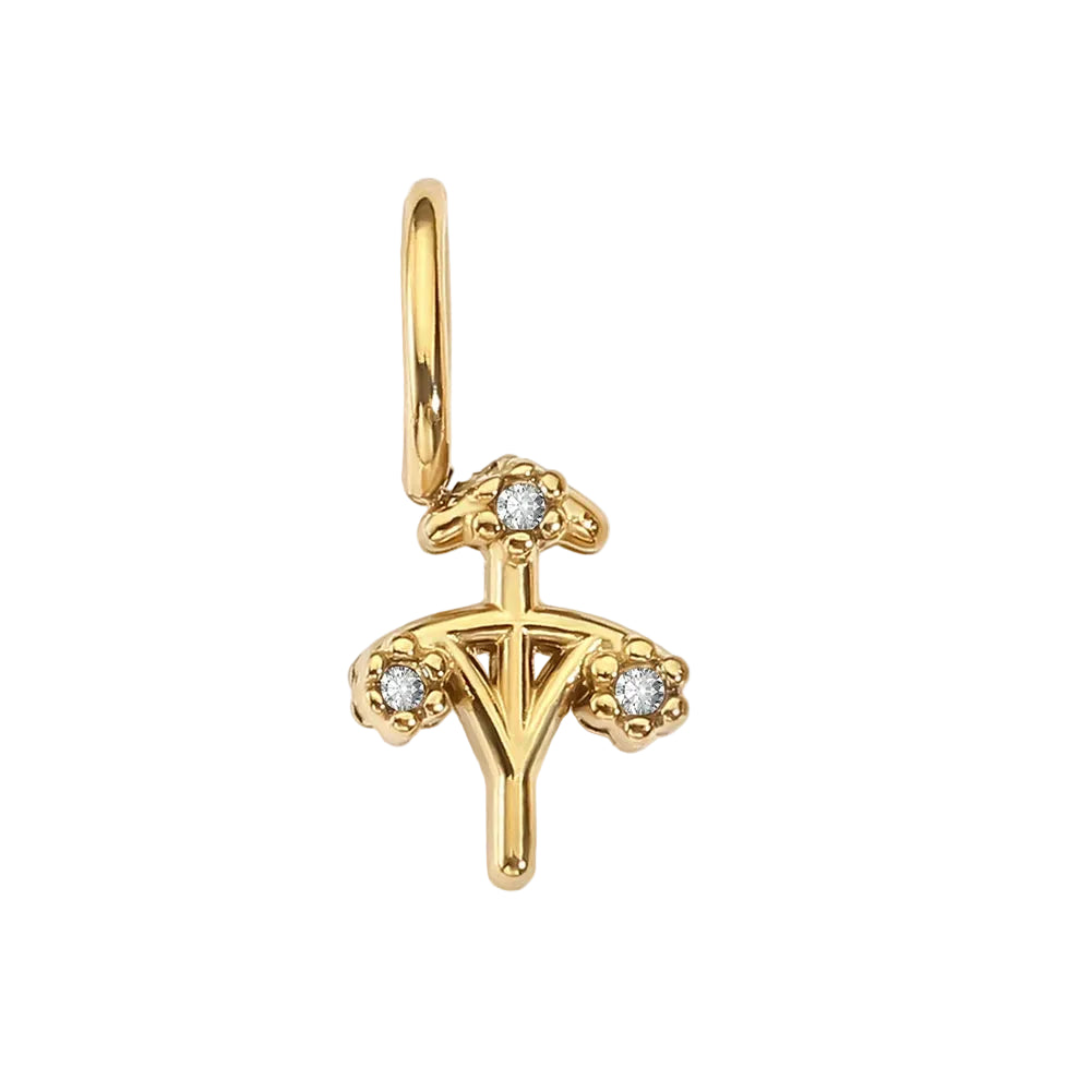 Zodiac Sparkle Charm