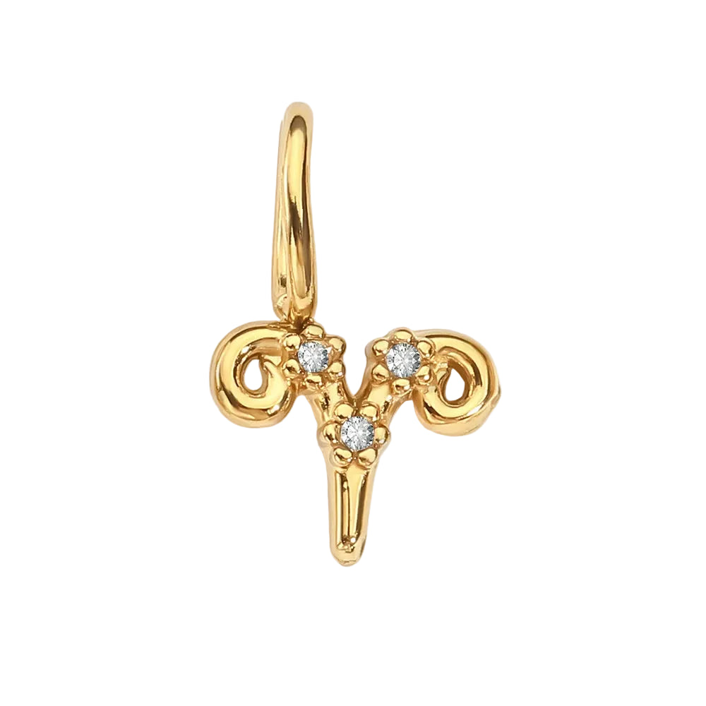 Zodiac Sparkle Charm