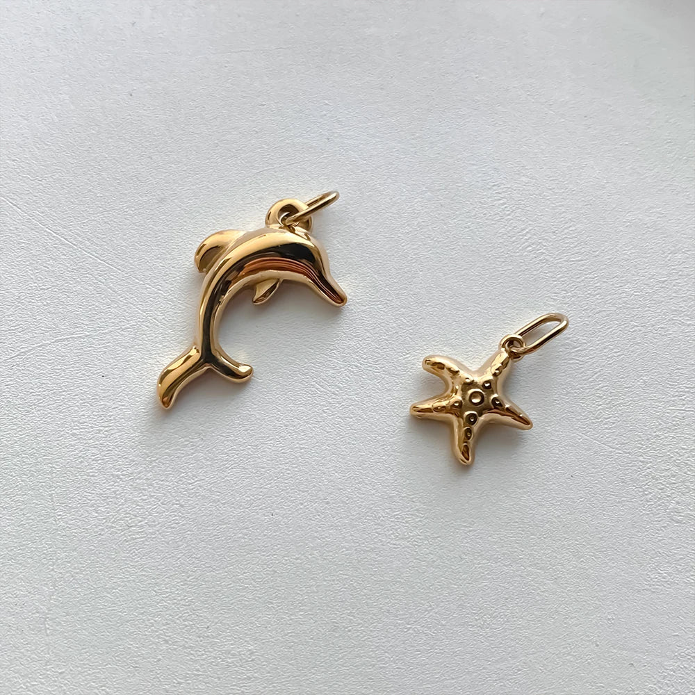 Coastal Dream Charm