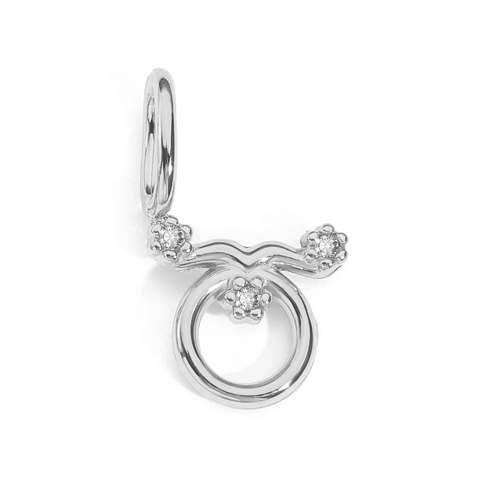 Zodiac Sparkle Charm