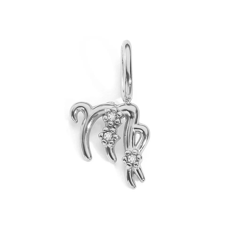 Zodiac Sparkle Charm
